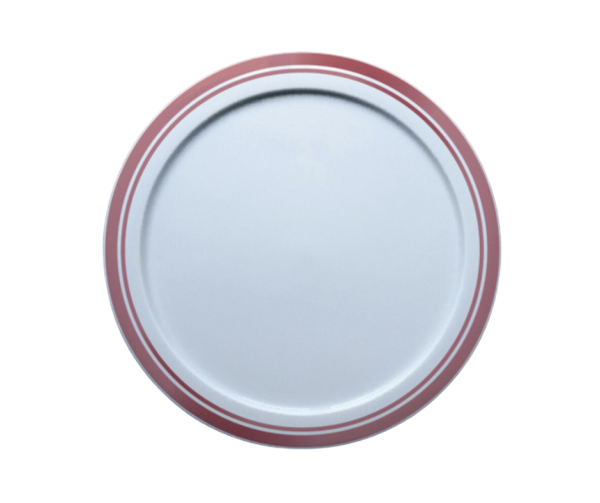 centre d'assiette en porcelaine de Limoges. A associer àux assiettes en résine écologique. Nouveautés Art de la Table.