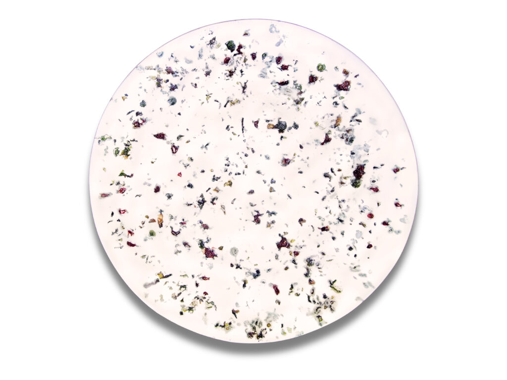 Assiettes originales en jesmonite et porcelaine de Limoges. Un nouvel art de la table