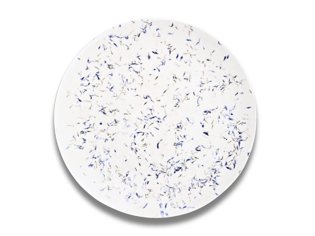 Assiettes originales en jesmonite et porcelaine de Limoges. Un nouvel art de la table